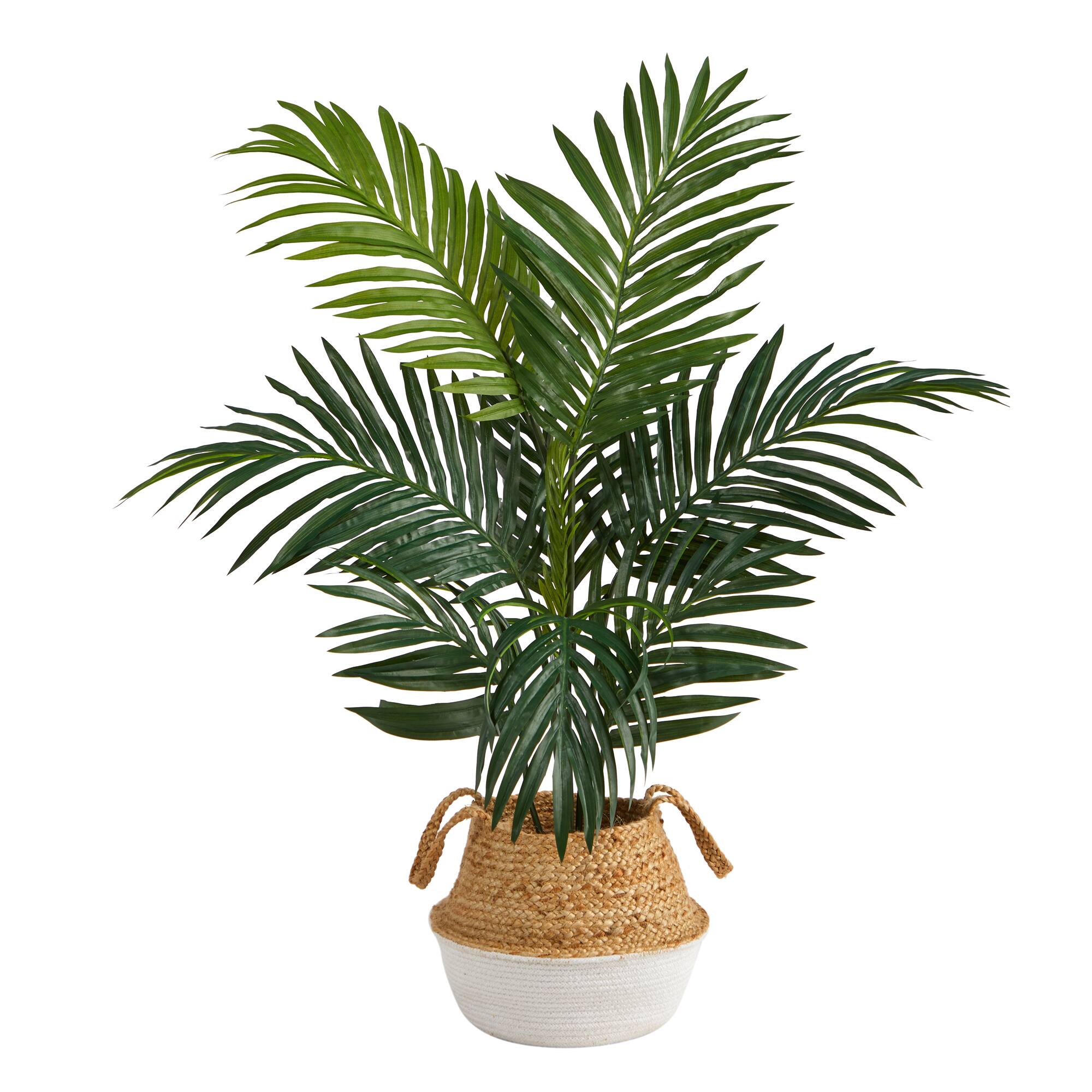 4ft. Kentia Palm Artificial Tree in Boho Chic Handmade Cotton & Jute White Woven Planter